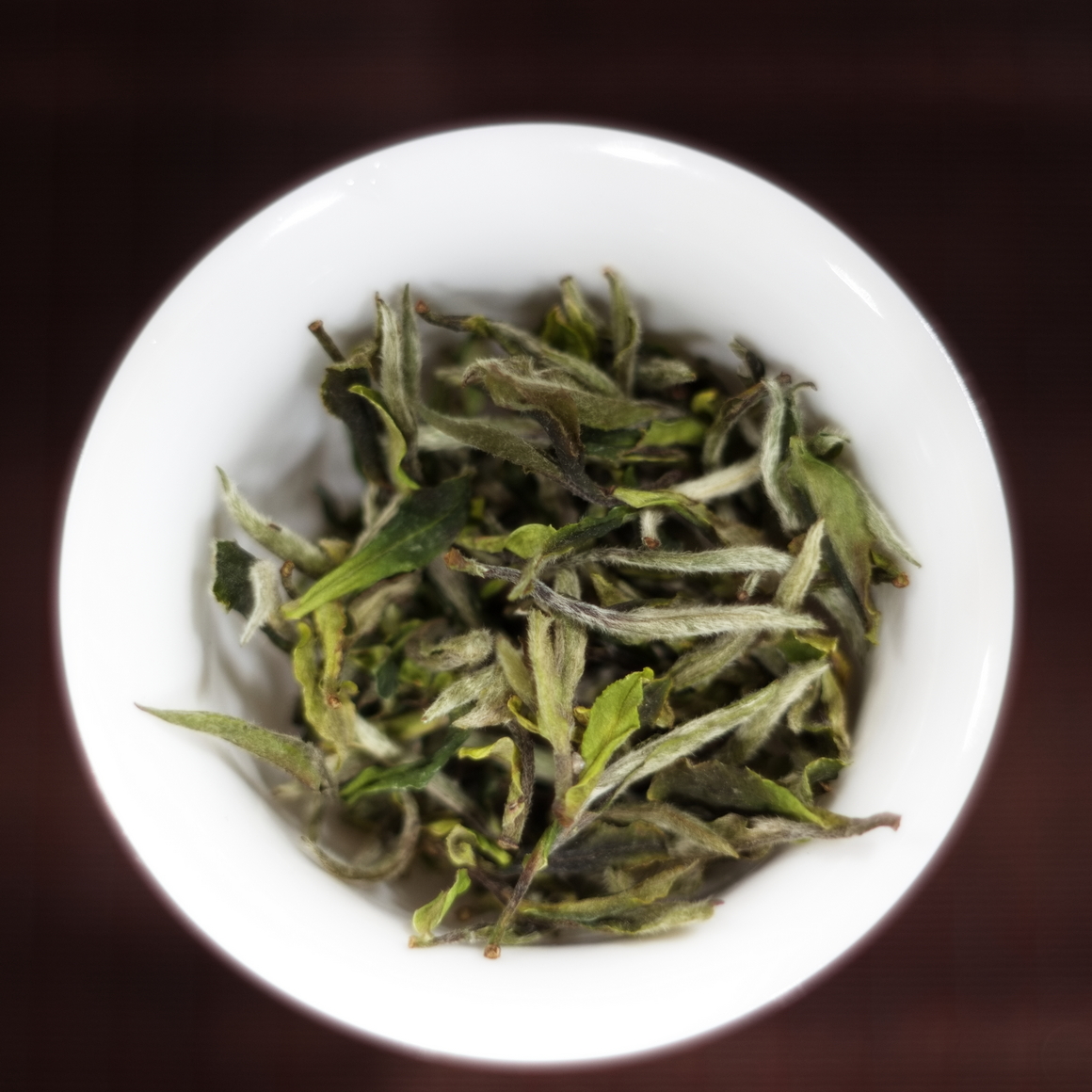 荒野牡丹王 25春