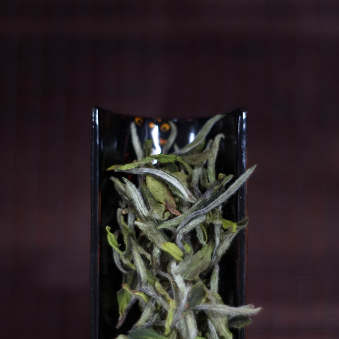 荒野牡丹王 25春