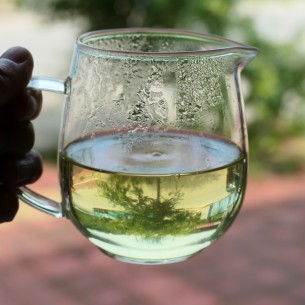朝露茶