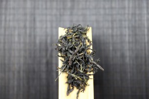 大乌叶单丛