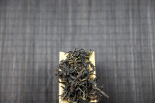 大乌叶单丛