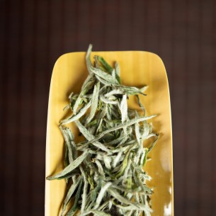 荒野银针