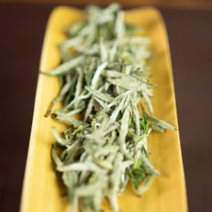 荒野银针