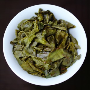 朝露茶 26春